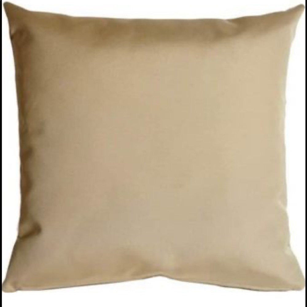 Sunbrella 20x20 outdoor pillows.  Set of two. Brand new.